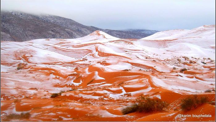 This is What Snow in the Sahara Desert Looks Like