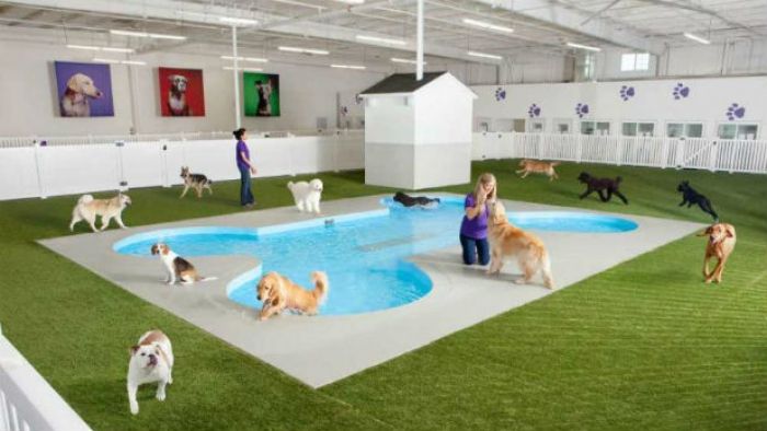 JFK&#039;s New Animal Terminal Will Be the Nicest Part of the Airport